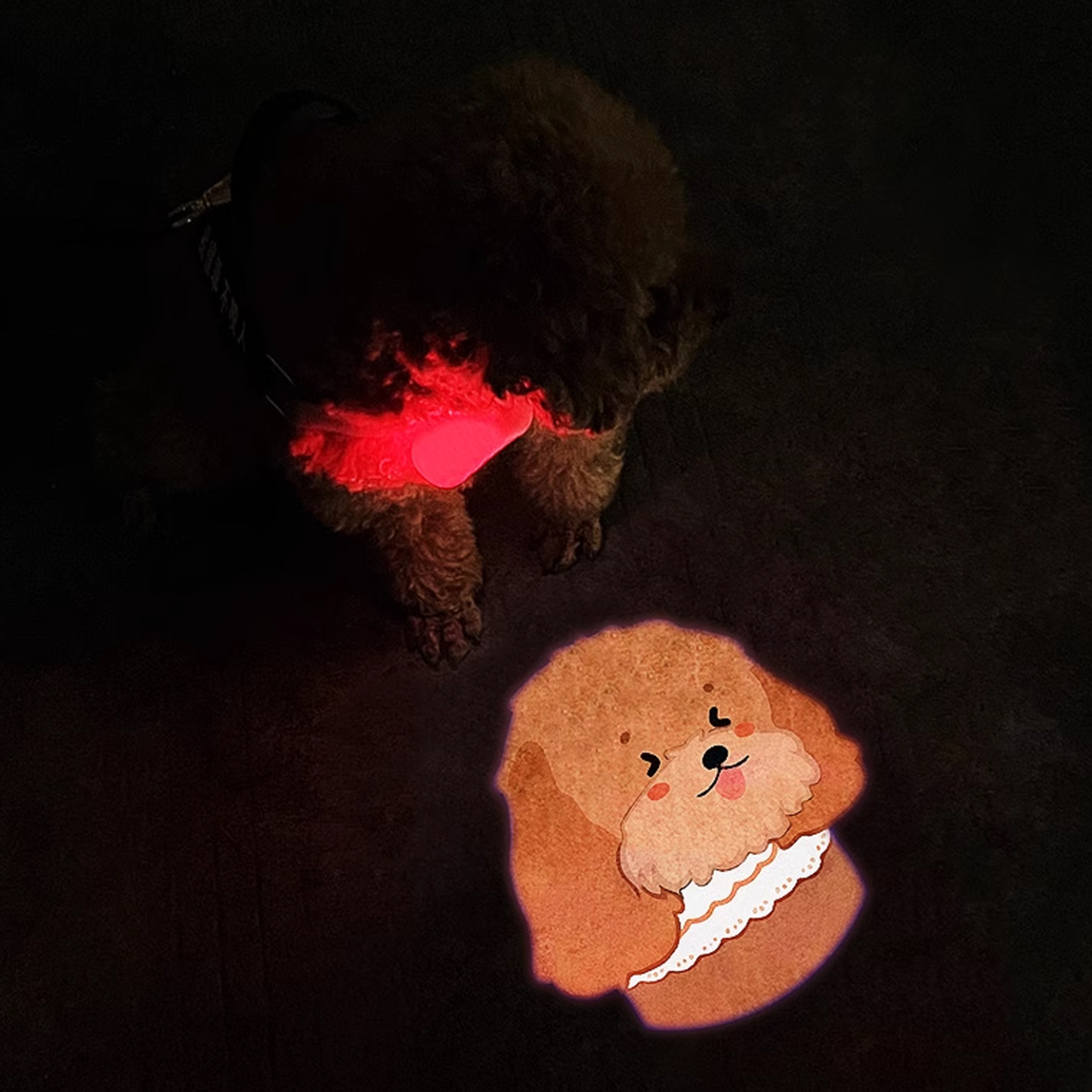 Customized Pet Social Projection Lamp Collar Tag Led Lamp Night Anti-Lost Dog Walking Lamp Pet Lamp