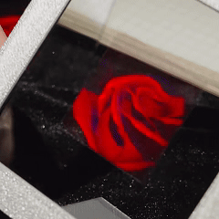Holographic Rose 3D Novelty Creative Gift Three-dimensional Holographic Film