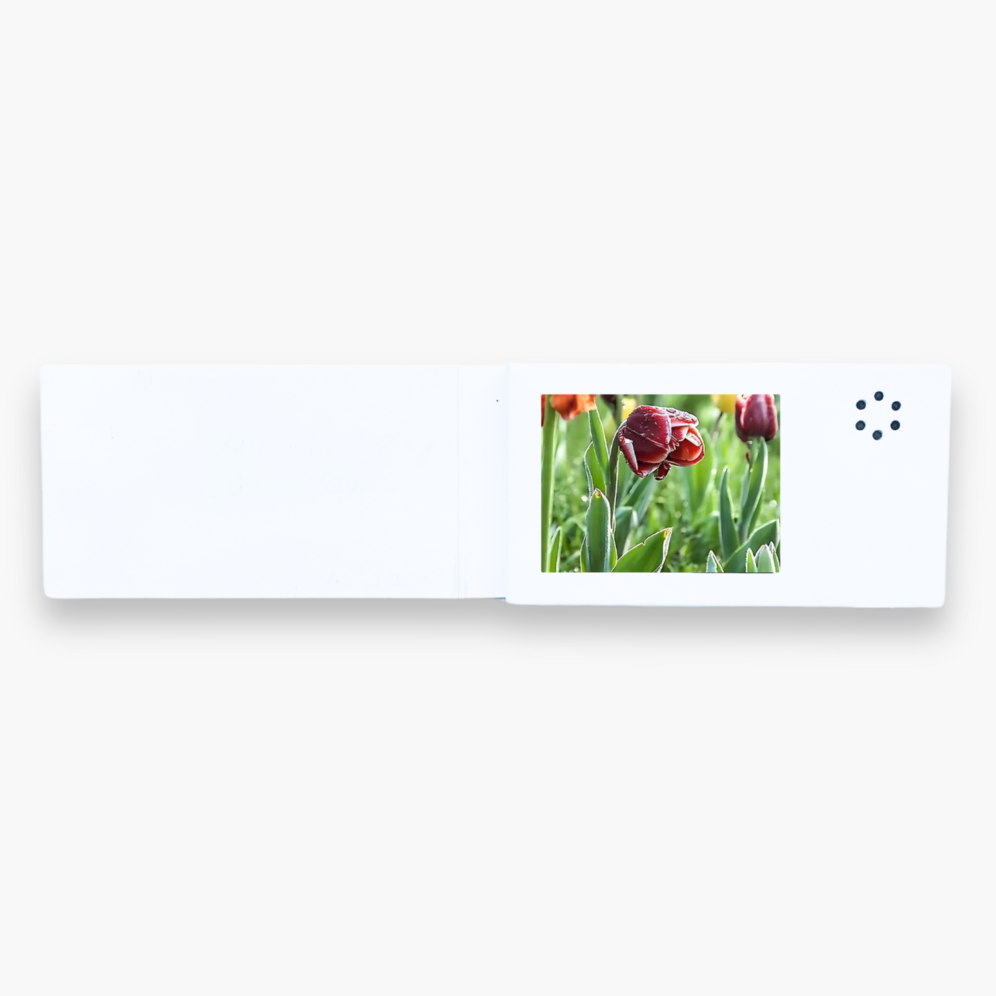 Video Card Gift