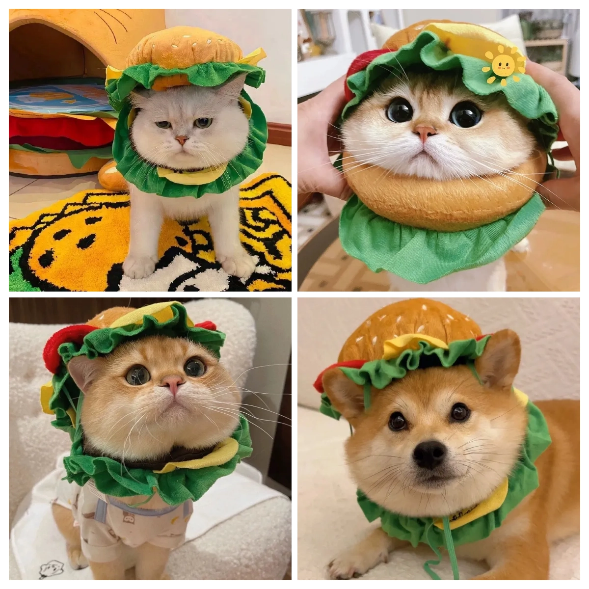 Pet Burger Headgear Funny Cat Hat Dog Costume Cute Adjustable Pet Hat for Small Medium Pets
