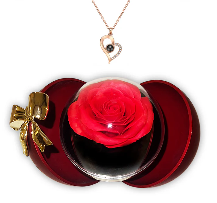Projection Necklace & Rose Gift Sphere