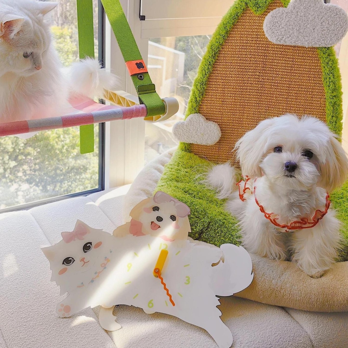 Personalized Pet Wall Clock Custom Wall Clock with Photo Unique Wall Art for Pet Lovers