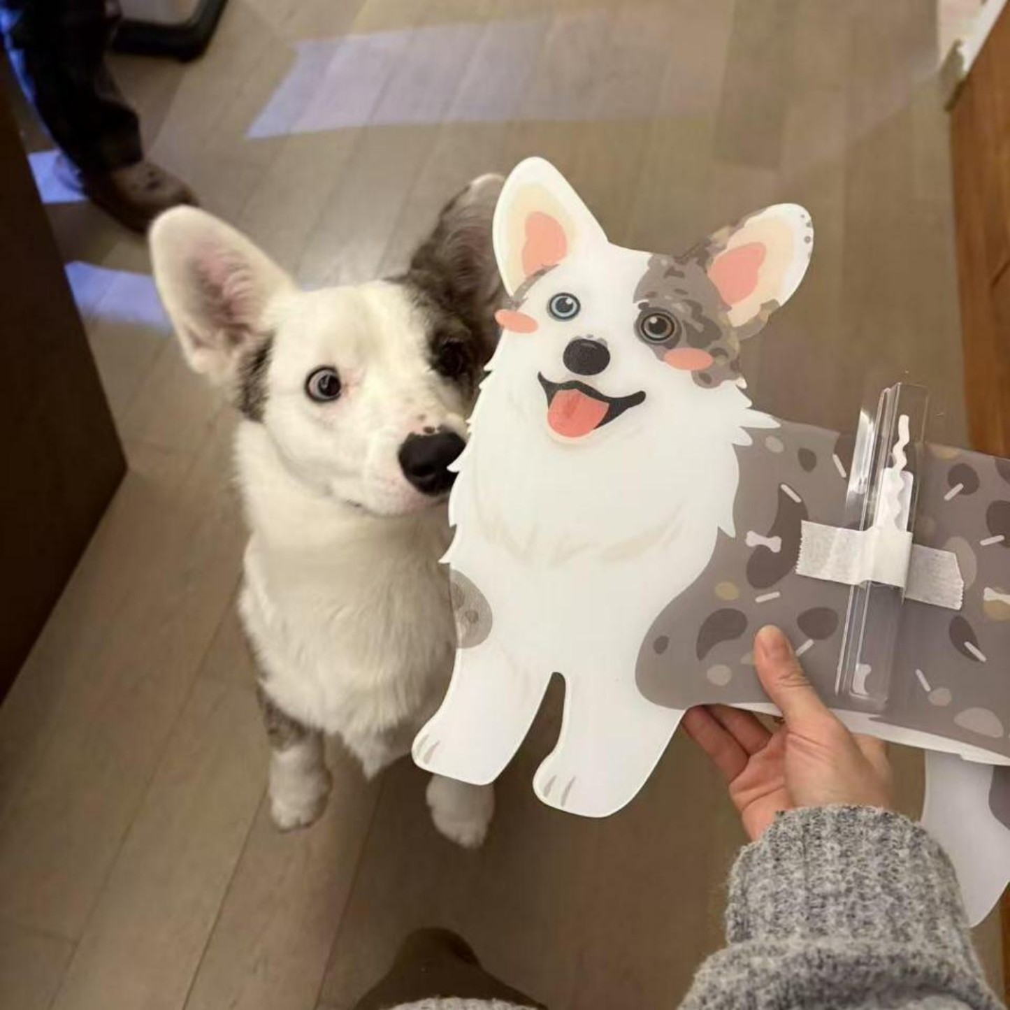 Personalized Pet Wall Clock Custom Wall Clock with Photo Unique Wall Art for Pet Lovers