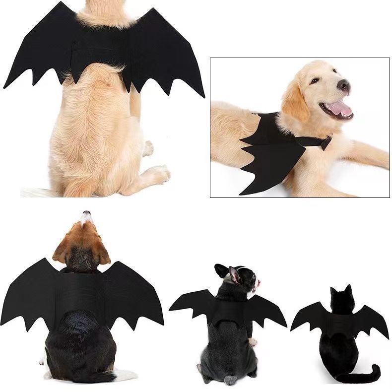 Halloween Bat Wings Pet Costume | Felt Bat Wing Costume for Dogs & Cats