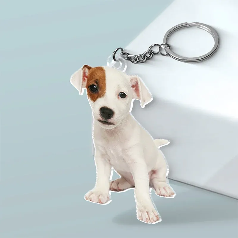 Custom Photo Happiness Is A Warm Puppy - Dog & Cat Personalized Custom Shaped Acrylic Keychain - Gift For Pet Owners, Pet Lovers