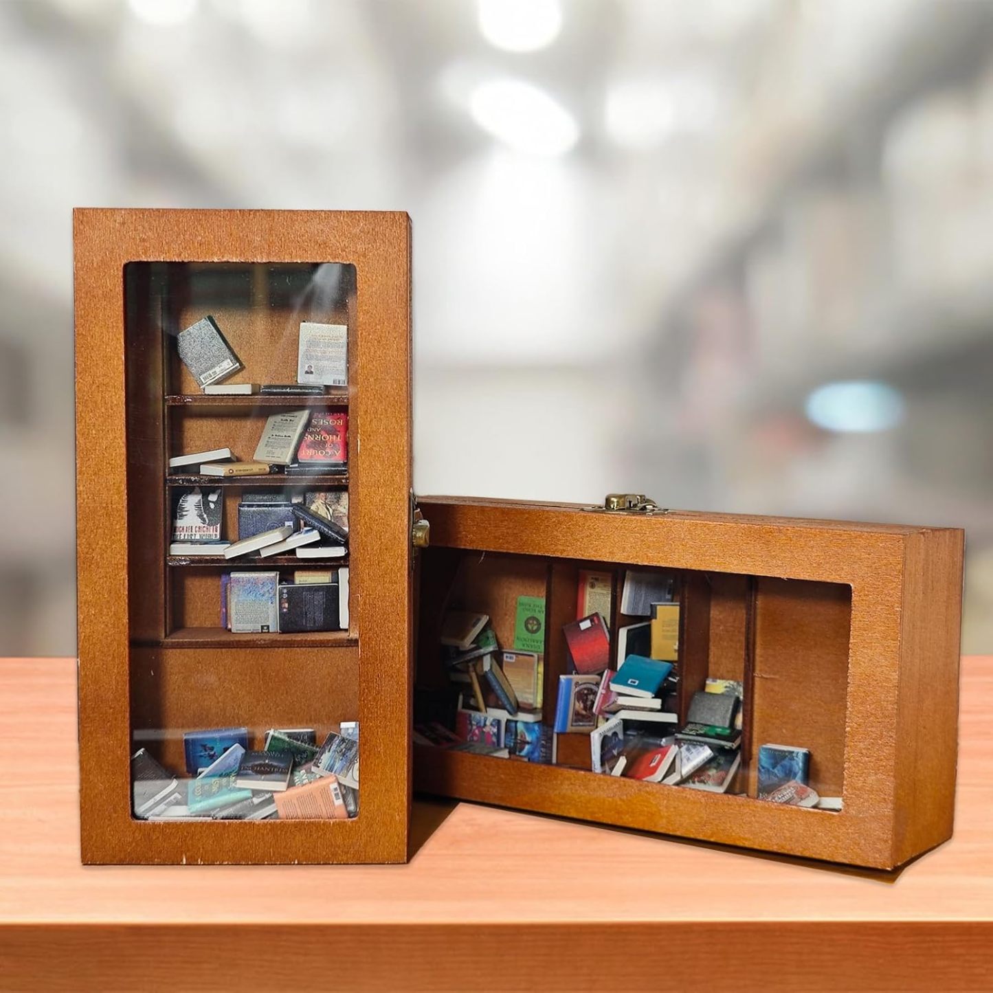 Personalised Edition Anxiety Bookcase Book Lover Gift Miniature Bookcase Study Decoration Best Friend Gift Booktok Library