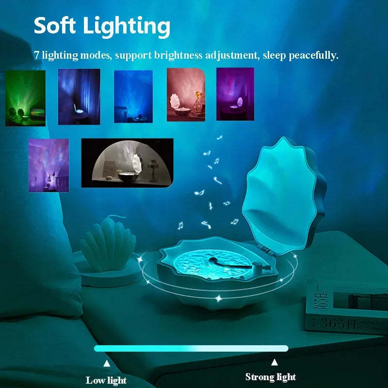 Aurora Lights Shell The Natural Wonder of Aurora and Seashells