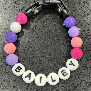 Personalized Name Beaded Dog Collar with Friendship Bracelet