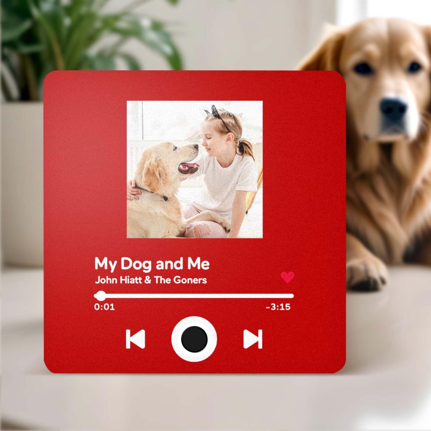 Customized Album Fridge Magnet Personalized Music Fridge Magnet Can Play Songs Gifts For Pet Lovers