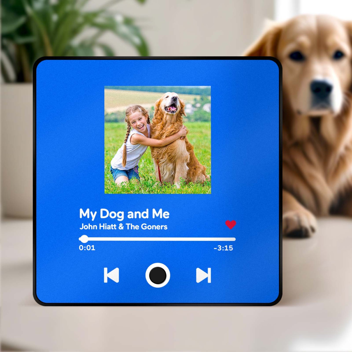 Customized Album Fridge Magnet Personalized Music Fridge Magnet Can Play Songs Gifts For Pet Lovers
