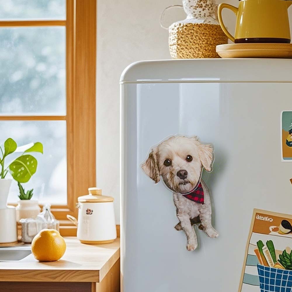 Personalized Refrigerator Magnet with Photo Pet Portrait Fridge Magnets Home Decoration Gifts for Pet Lover - soufeelus