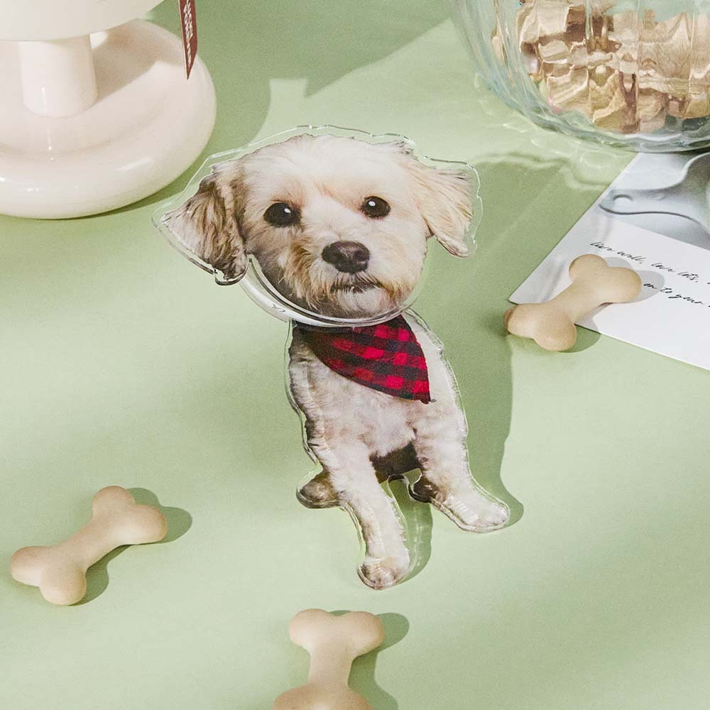 Personalized Refrigerator Magnet with Photo Pet Portrait Fridge Magnets Home Decoration Gifts for Pet Lover - soufeelus