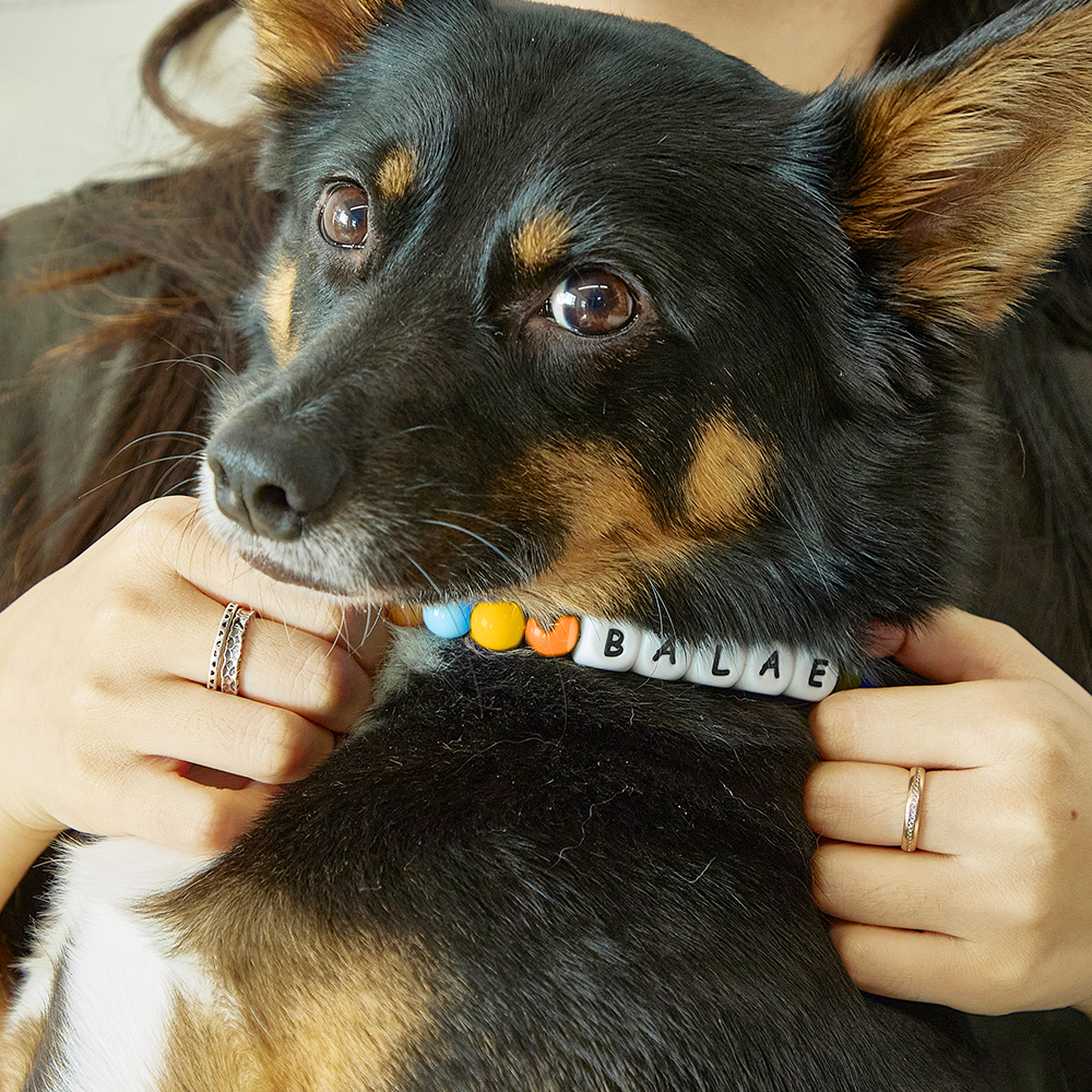 Custom Name Pet Necklace – Colorful Beaded Collar for Your Furry Friend