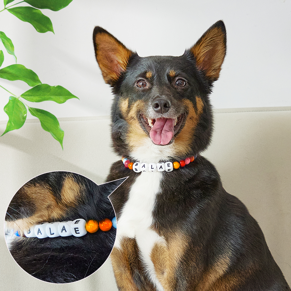 Custom Name Pet Necklace – Colorful Beaded Collar for Your Furry Friend