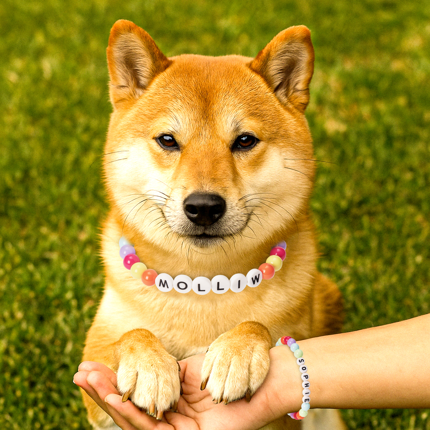 Personalized  Name Beaded Dog Collar with Friendship Bracelet