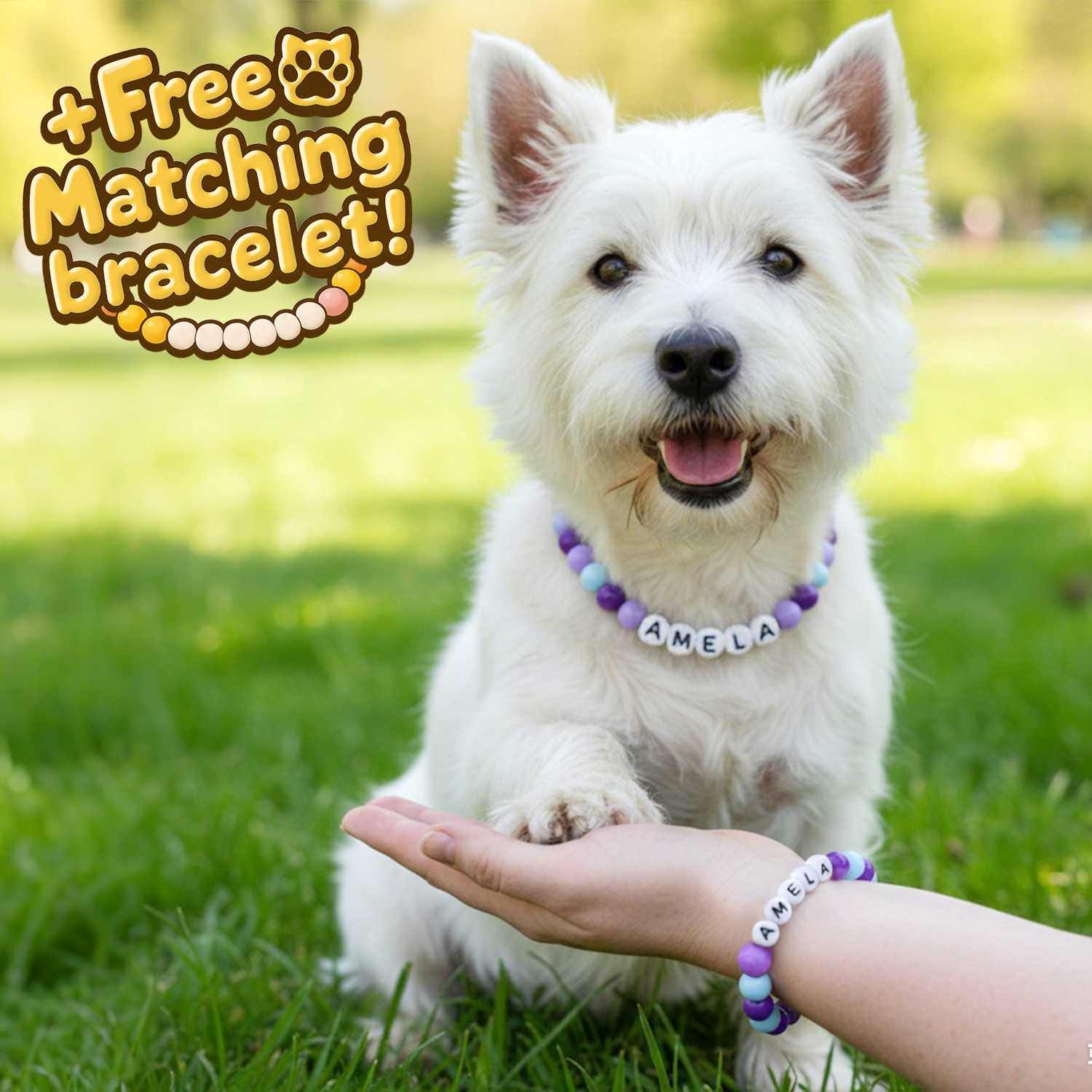 Personalized Name Necklace  Comes with a Free Matching Bracelet Gift for Pet