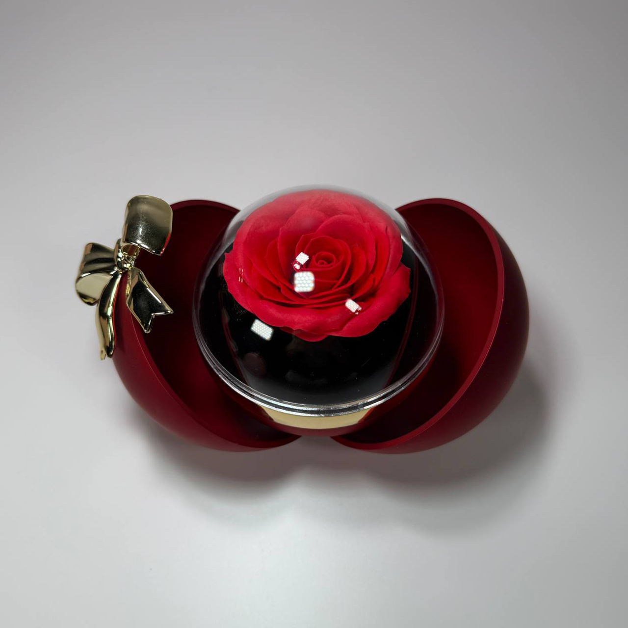 Projection Necklace & Rose Gift Sphere