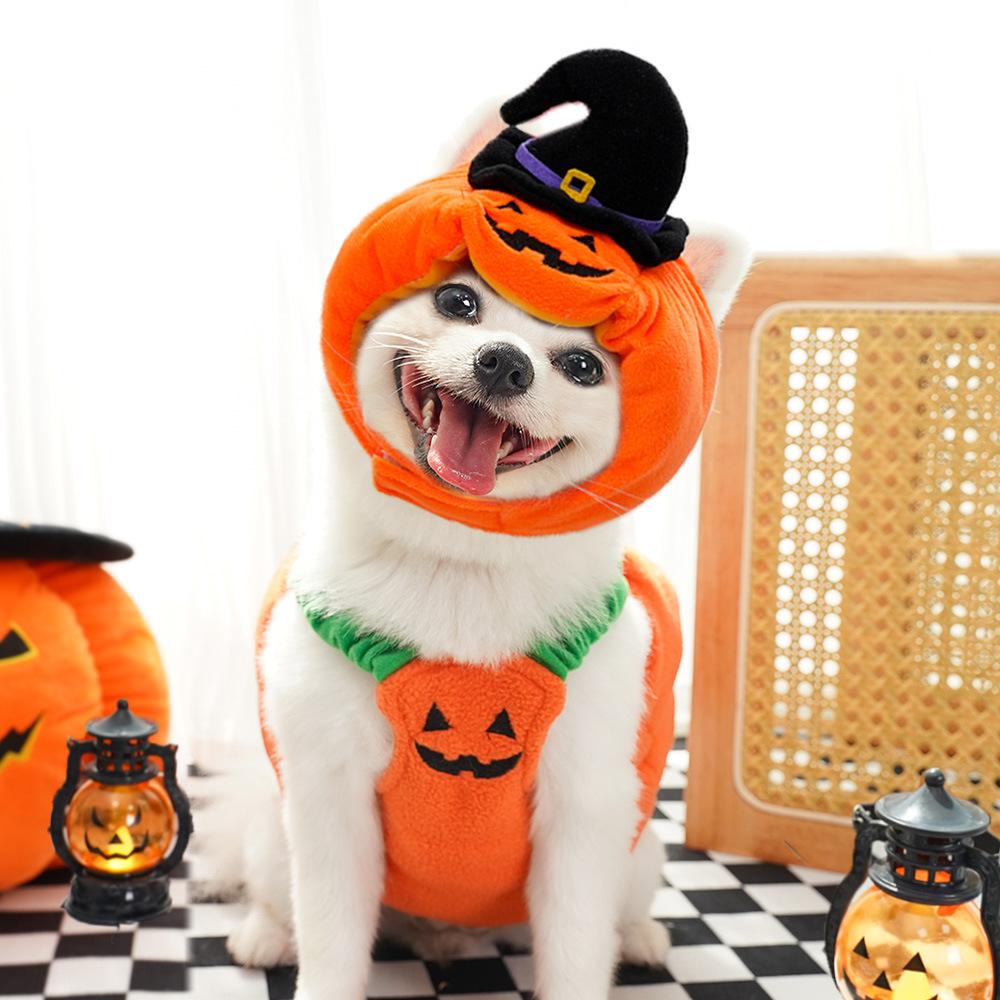 Funny Pumpkin Halloween Costume for Dogs & Cats – Smiley Face Pumpkin Vest with Pumpkin Headpiece, Cute Pet Halloween Outfit for Parties & Photos