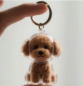 Dog Hair Collector Keychain Bag Charm Memorial Storage Box Sentimental Gift for Dog Lovers Perfect for Storing Pet Hair