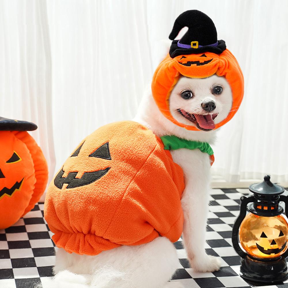 Funny Pumpkin Halloween Costume for Dogs & Cats – Smiley Face Pumpkin Vest with Pumpkin Headpiece, Cute Pet Halloween Outfit for Parties & Photos