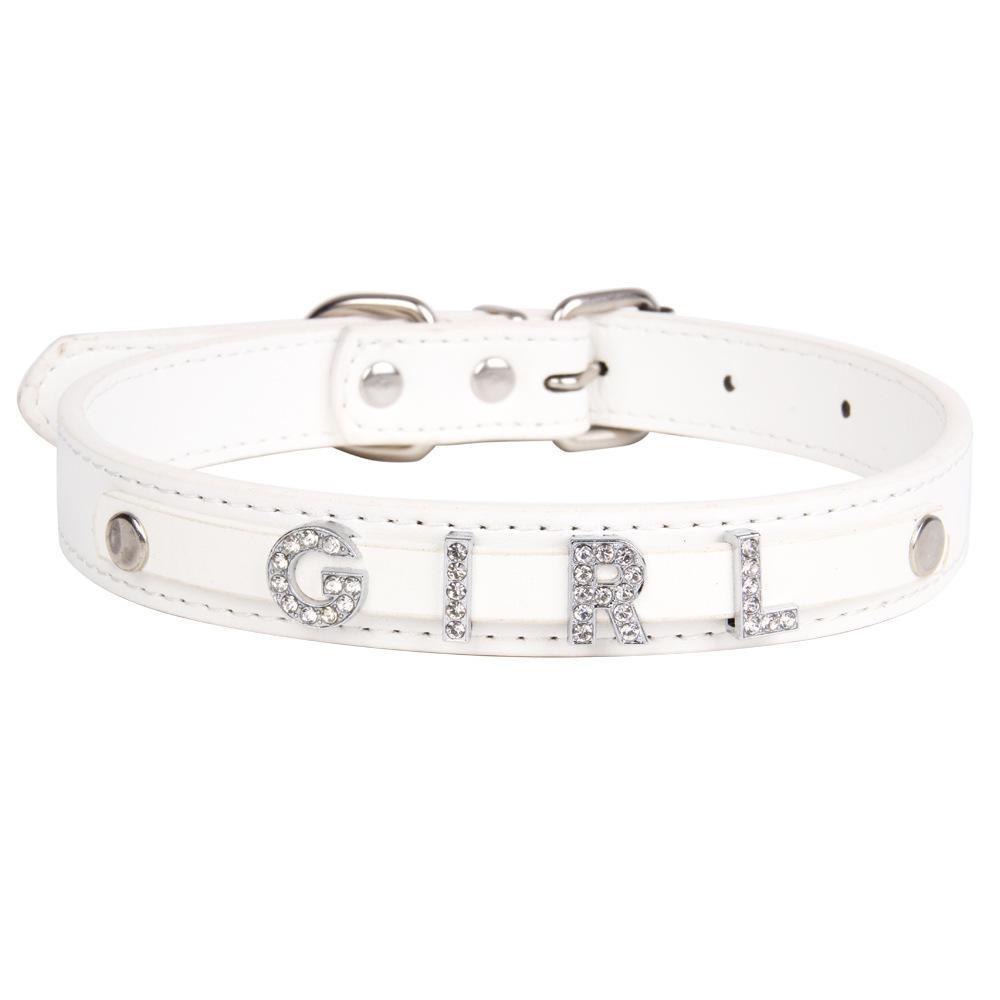 Personalized Name Pet Collar Adjustable Gift for Your Furry Friend