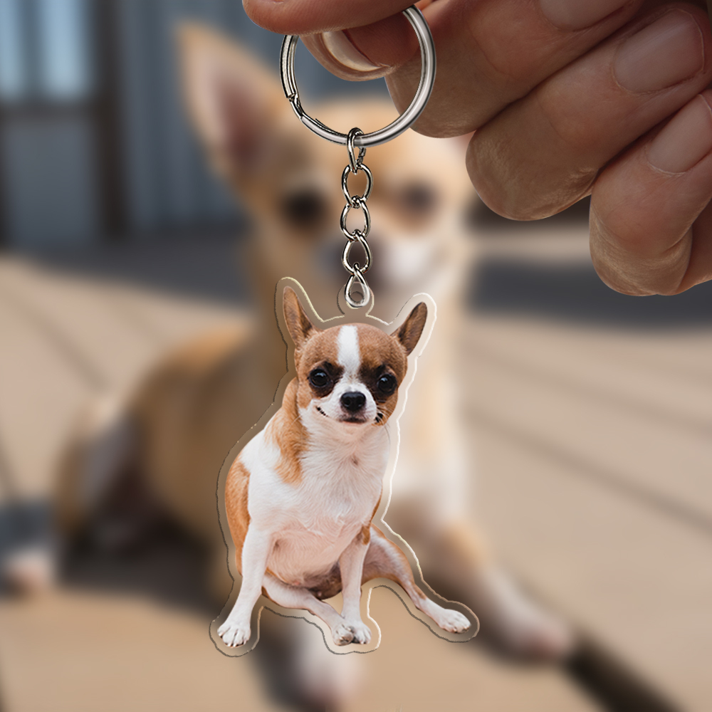 Custom Photo Happiness Is A Warm Puppy - Dog & Cat Personalized Custom Shaped Acrylic Keychain - Gift For Pet Owners, Pet Lovers