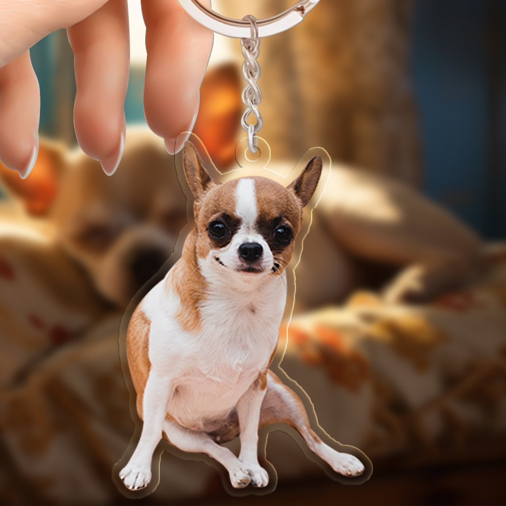Custom Photo Happiness Is A Warm Puppy - Dog & Cat Personalized Custom Shaped Acrylic Keychain - Gift For Pet Owners, Pet Lovers