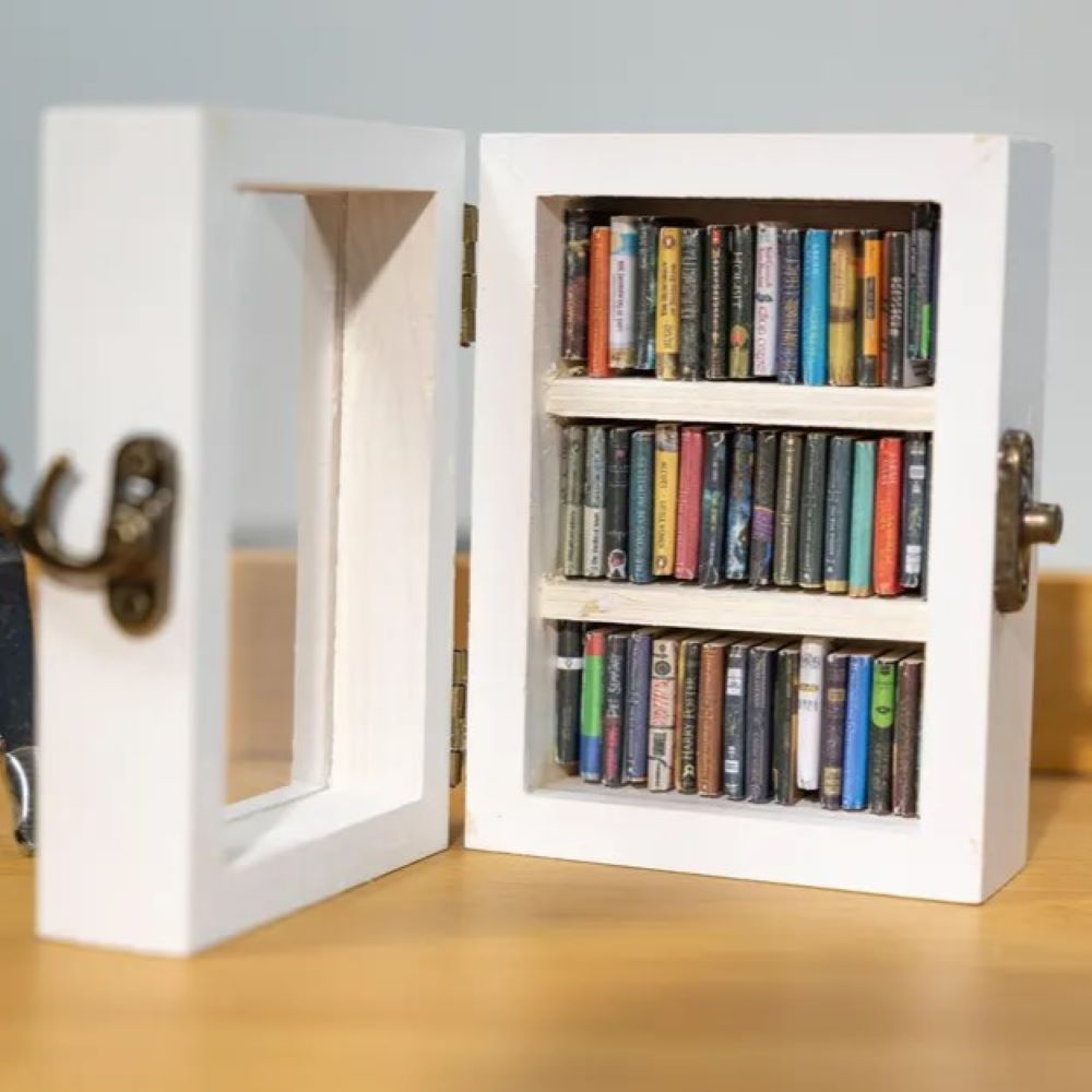 Pocket Edition Anxiety Bookcase, MINI bookcase, Miniature Landscape, Miniature Bookcase, Book Lover Gift, Study Decoration