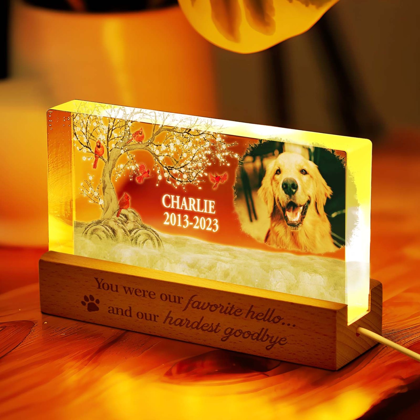 Personalized Pet Photo Night Light Custom Photo Light Memorial Gift for Pet Lover - soufeelus