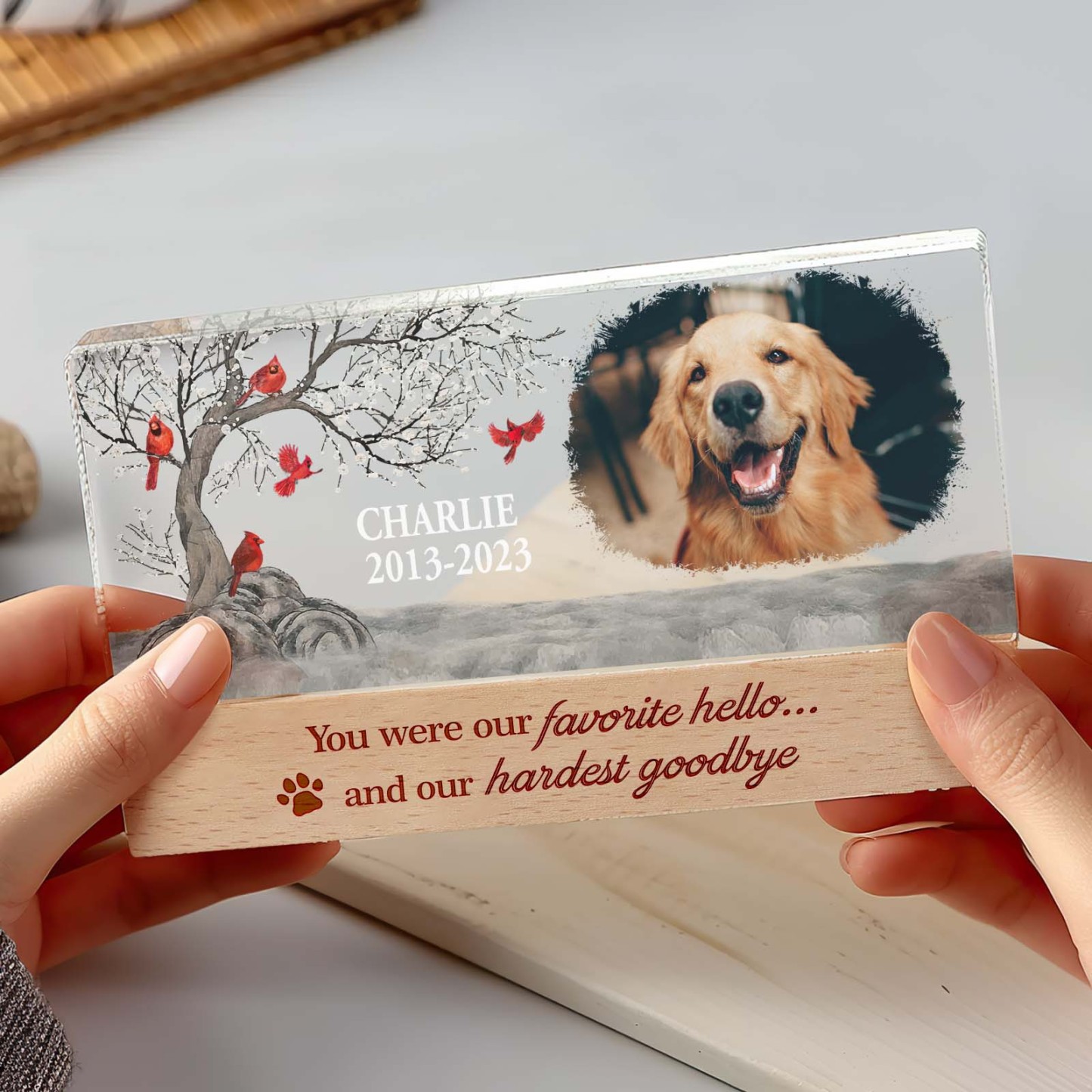 Personalized Pet Photo Night Light Custom Photo Light Memorial Gift for Pet Lover - soufeelus