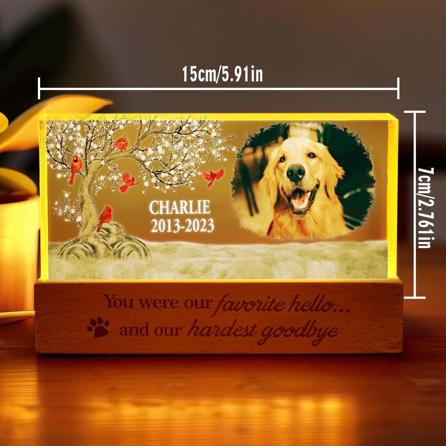 Personalized Pet Photo Night Light Custom Photo Light Memorial Gift for Pet Lover - soufeelus