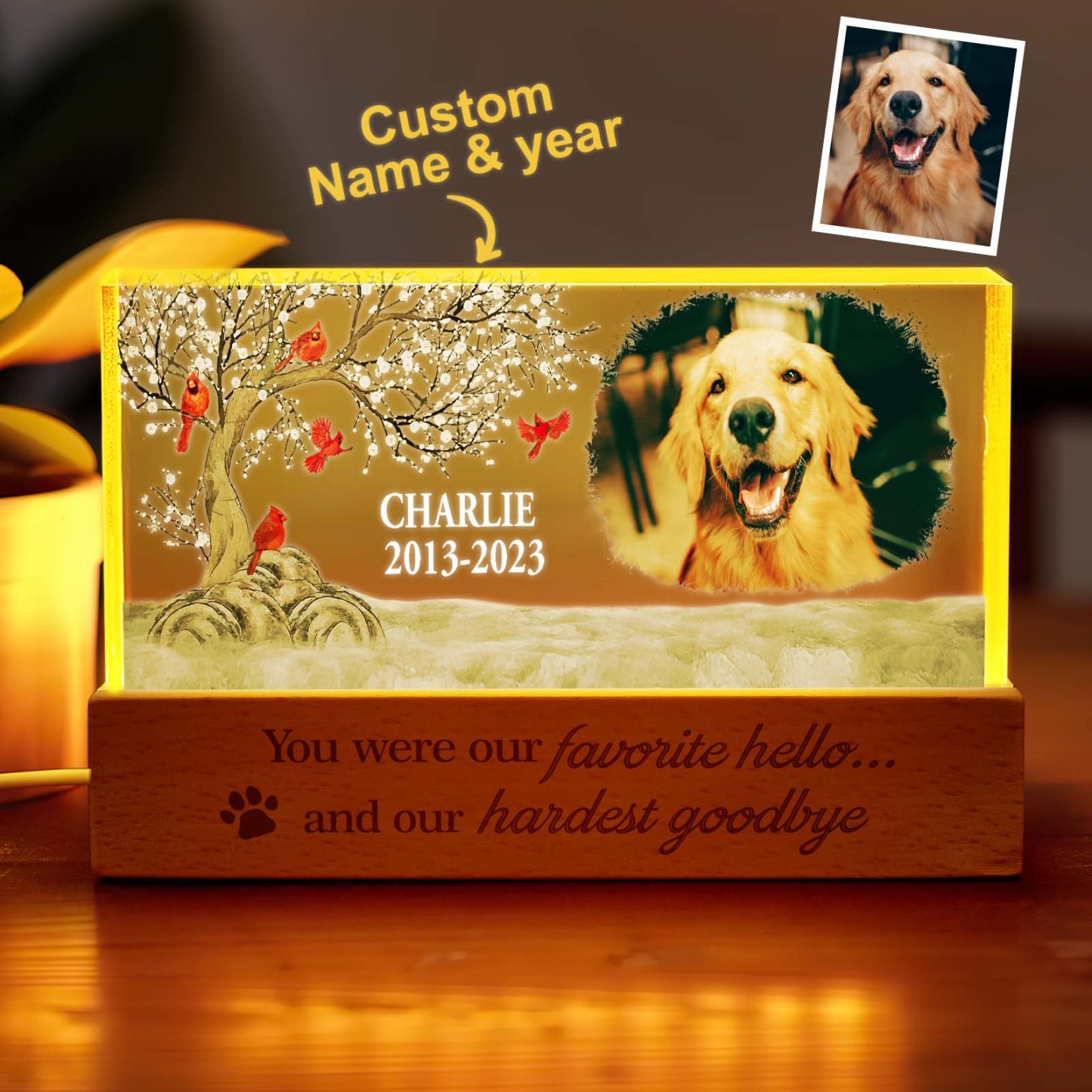 Personalized Pet Photo Night Light Custom Photo Light Memorial Gift for Pet Lover - soufeelus