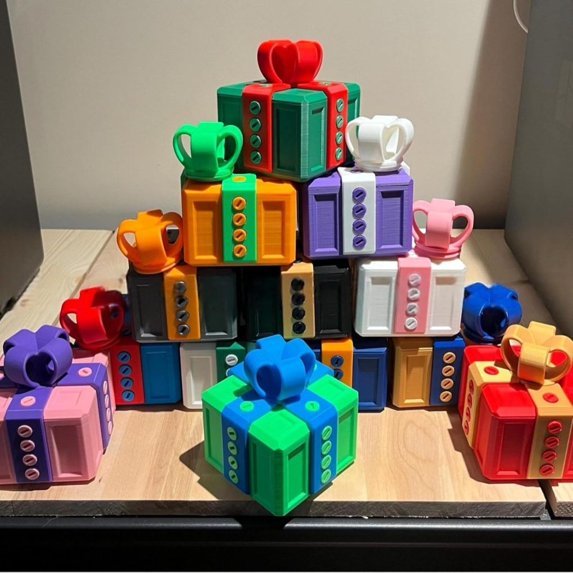 The Annoying Gift Box With Screws 3D Printed Gift Card Money Cash Puzzle Box for Him/Her