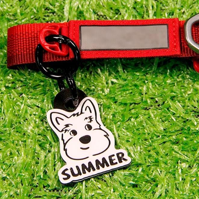 Custom Name Dog Tag with Personalized Outline Dog ID Tag Gift for Pet Lover