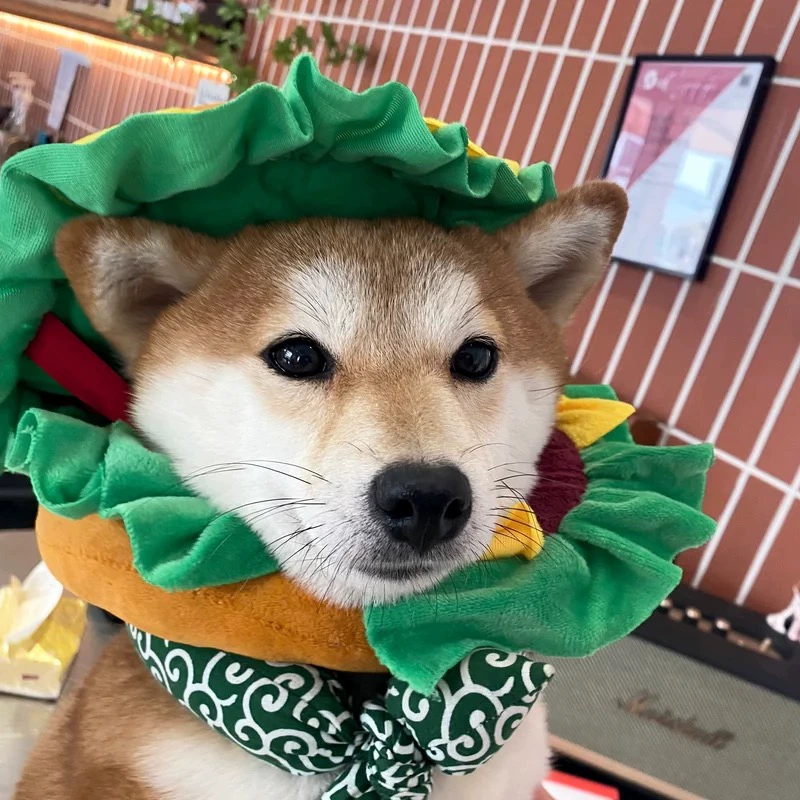 Pet Burger Headgear Funny Cat Hat Dog Costume Cute Adjustable Pet Hat for Small Medium Pets