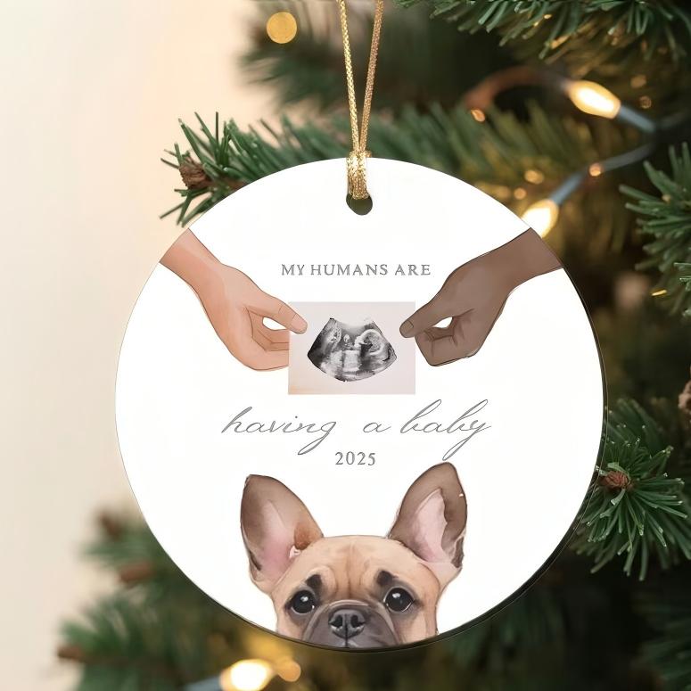 Custom Baby and Pet Photo Announcement Ornament Personalized Expecting Family Christmas Keepsake Painted Dog Portrait Ornament