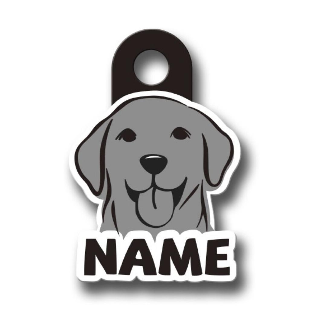 Custom Name Dog Tag with Personalized Outline Dog ID Tag Gift for Pet Lover