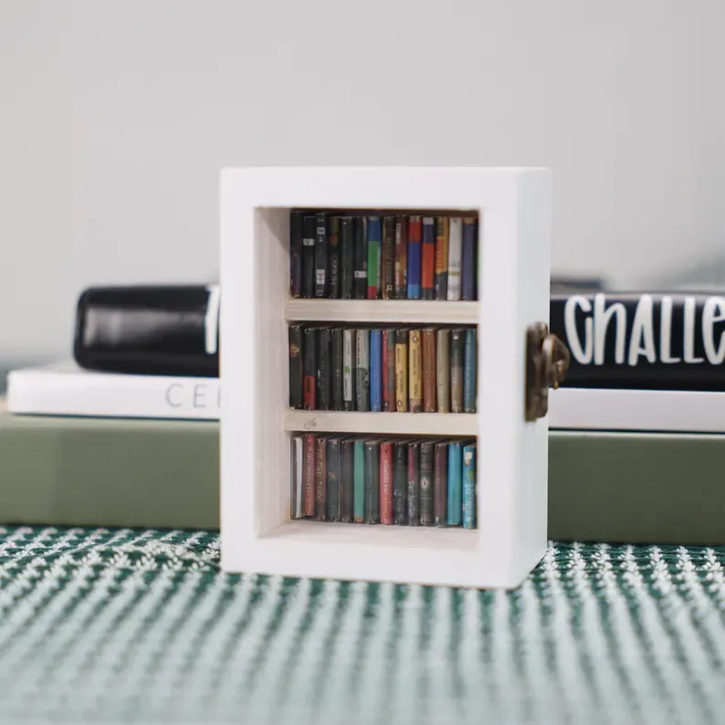 Pocket Edition Anxiety Bookcase, MINI bookcase, Miniature Landscape, Miniature Bookcase, Book Lover Gift, Study Decoration