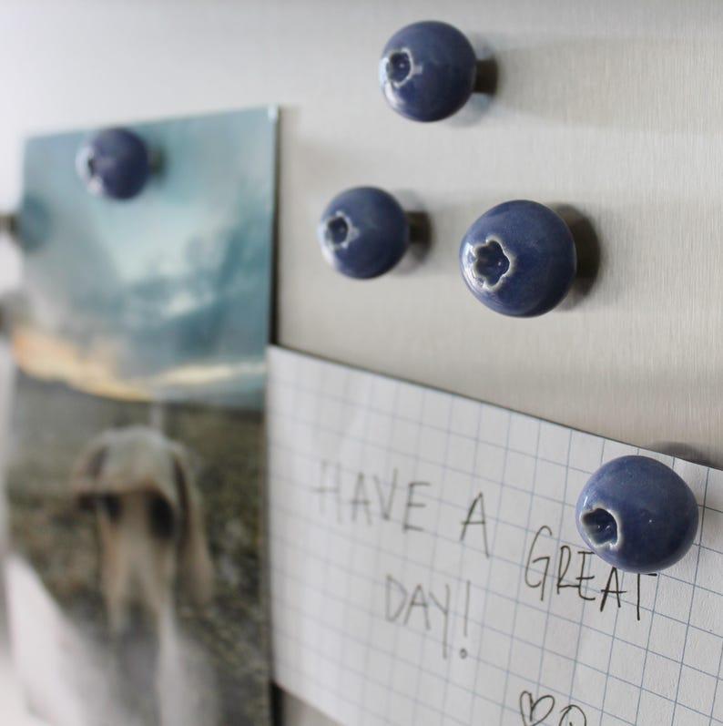 Ceramic magnet, Ceramic fruit, Food magnet, Clay magnets, Fridge Magnets, Handmade magnets, Blueberry, Fruit magnet, Blueberry magnet