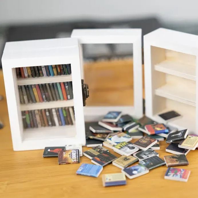 Pocket Edition Anxiety Bookcase, MINI bookcase, Miniature Landscape, Miniature Bookcase, Book Lover Gift, Study Decoration