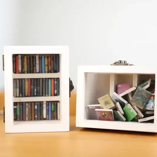 Pocket Edition Anxiety Bookcase, MINI bookcase, Miniature Landscape, Miniature Bookcase, Book Lover Gift, Study Decoration