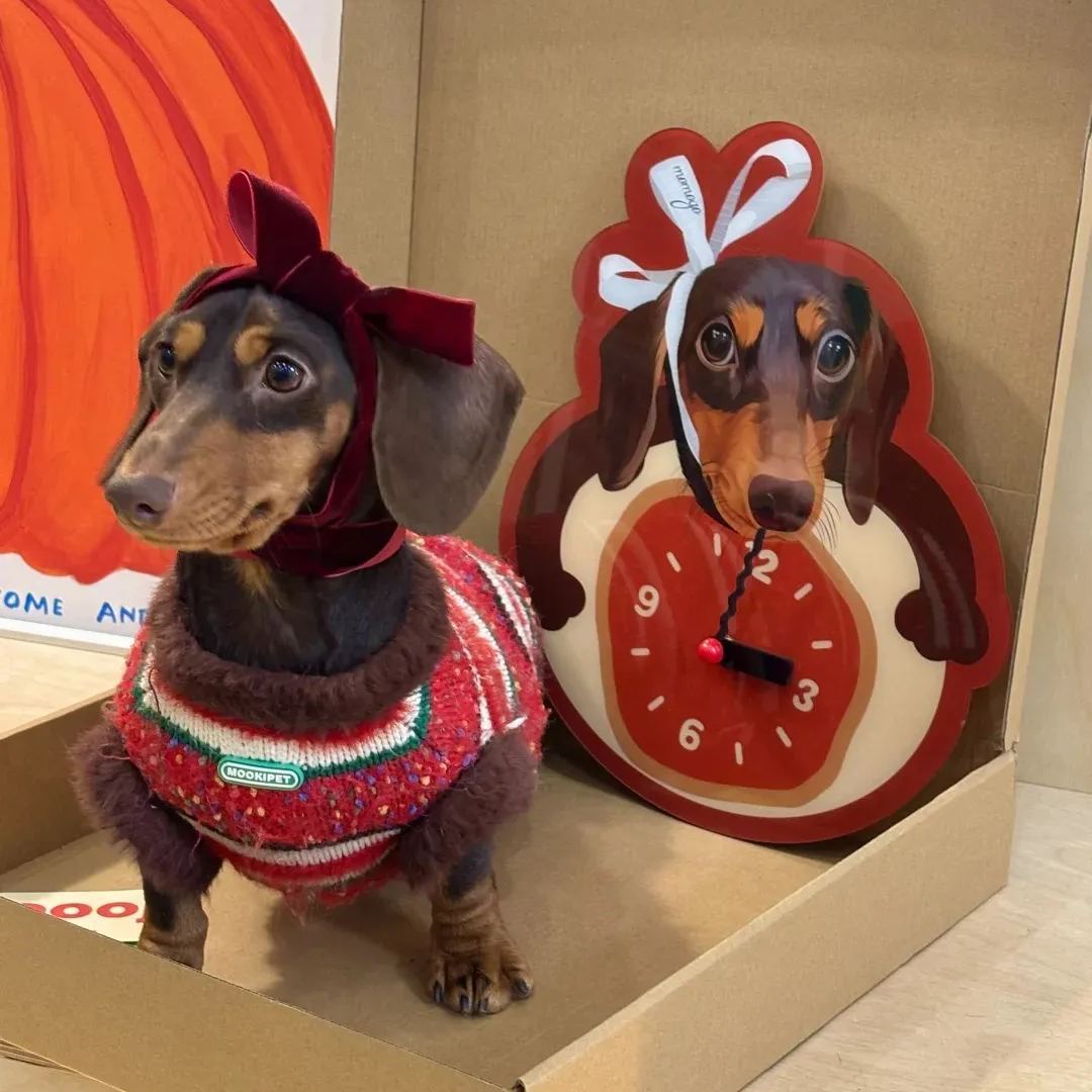 Custom Pet Photo Wall Clock