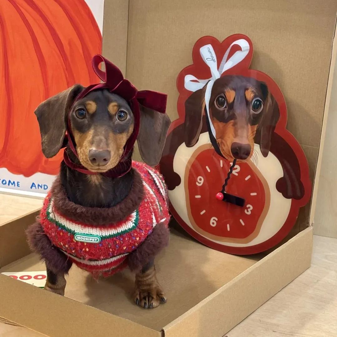 Custom Pet Photo Wall Clock