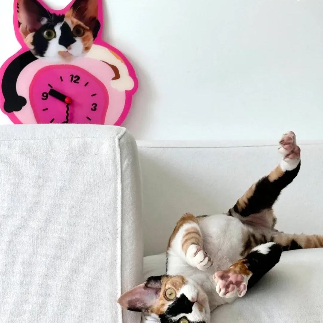 Custom Pet Photo Wall Clock