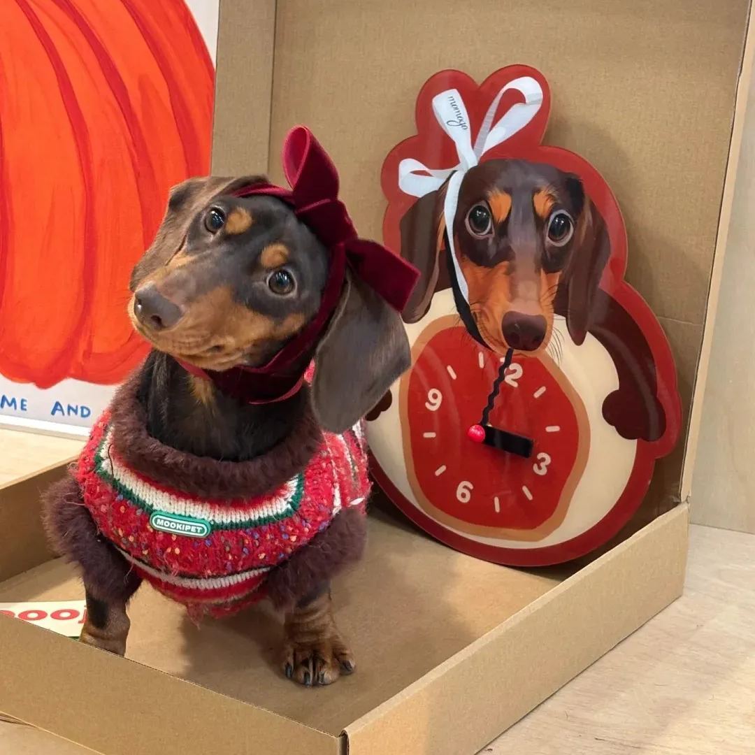 Custom Pet Photo Wall Clock