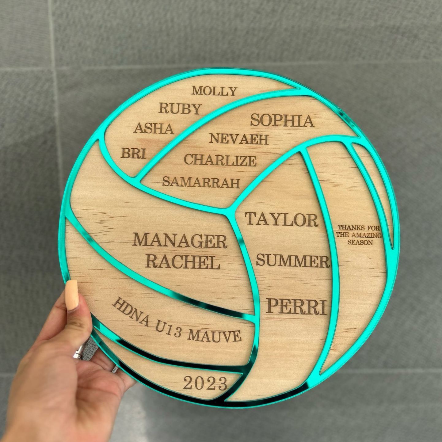 Personalized Thank You Plaque for Coaches Gifts