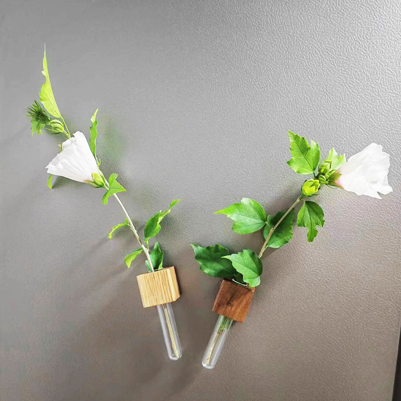 Creative home refrigerator sticker test tube vase desktop wooden transparent glass plant flower arrangement simple pastoral style
