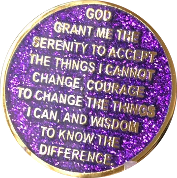 1 - 10 Year AA Medallion Elegant Glitter Pink Gold & Silver Plated Sobriety Chip