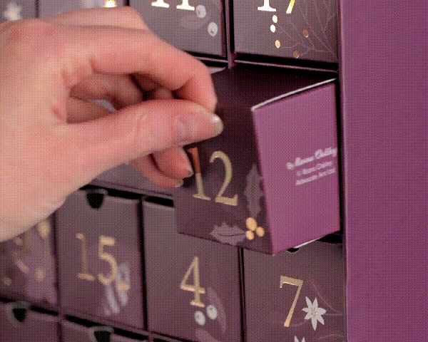 24 Days Of Christmas Puzzles Advent Calendar