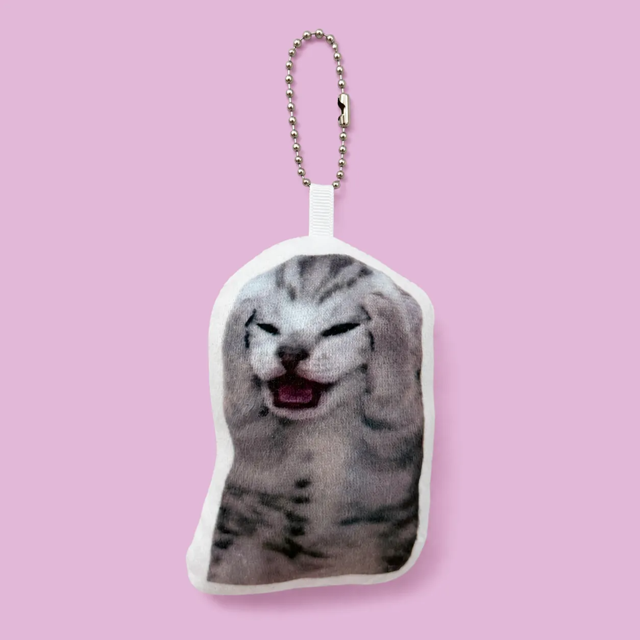 Custom Photo & Meme Recordable Sound Keychain - Funny Cat & Dog Voice Plush Pendant